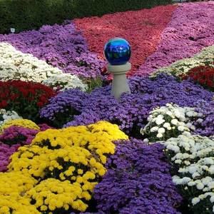 Meet your Posher, Joan